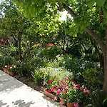 아파트 Le Dimore Di Giulia Con Giardino *