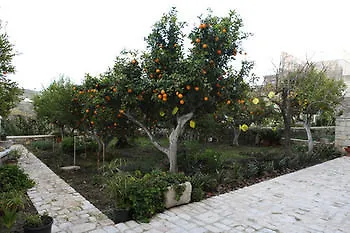 B&B Il Giardino Dei Mandarini Modica