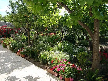 Daire Le Dimore Di Giulia Con Giardino *